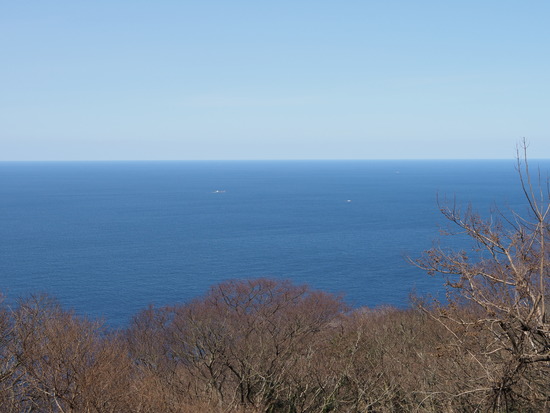 N3124290_PRF