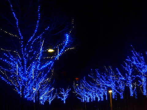 PC100562_PRF