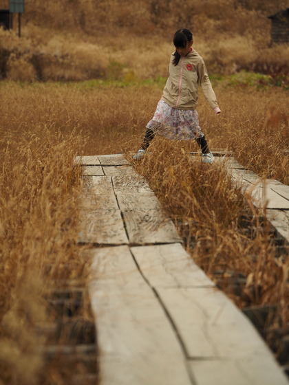 PA040337_PRF