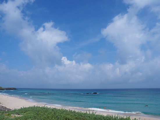 N8100709_PRF