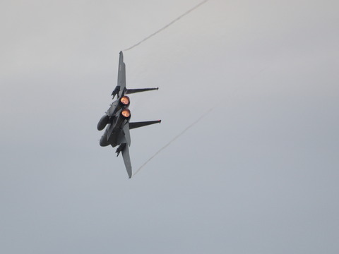 PA031657_PRF