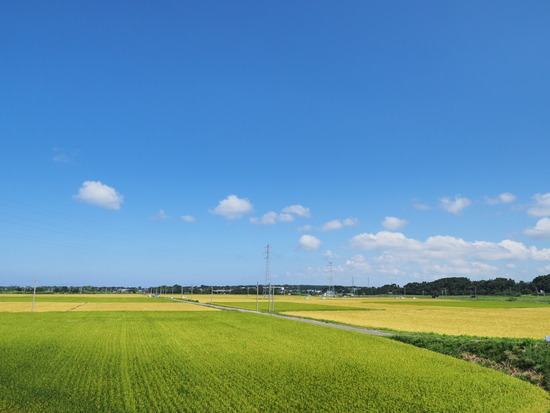 N9091632_PRF