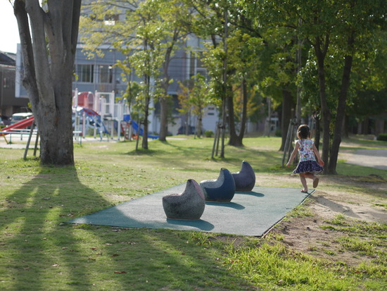 P1010048
