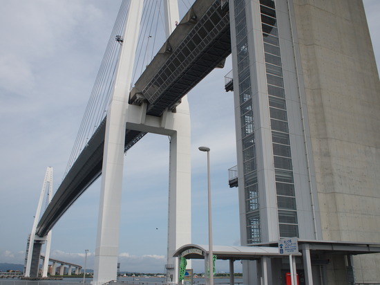 E7175164_PRF