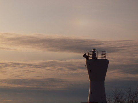 P1229135_PRF