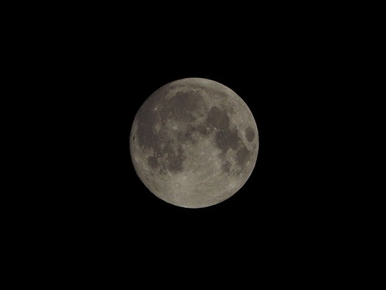 M9274974_PRF