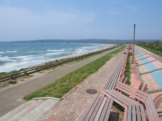 N4166046_PRF