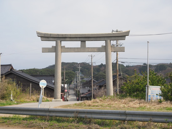 N4165977_PRF