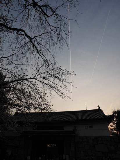 M3303232_PRF