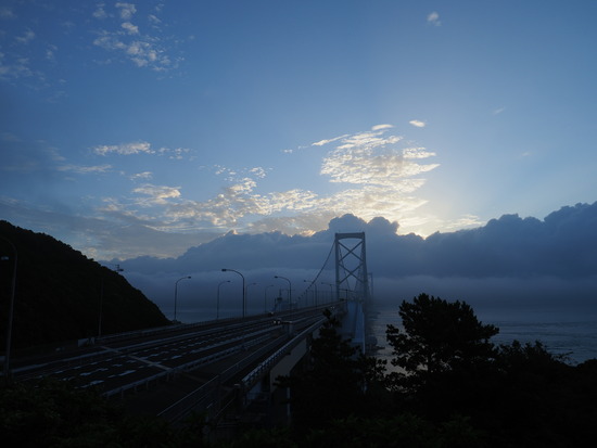 N8124443_PRF