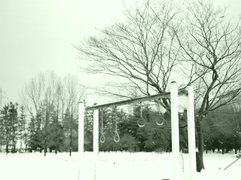 P2049654_PRF