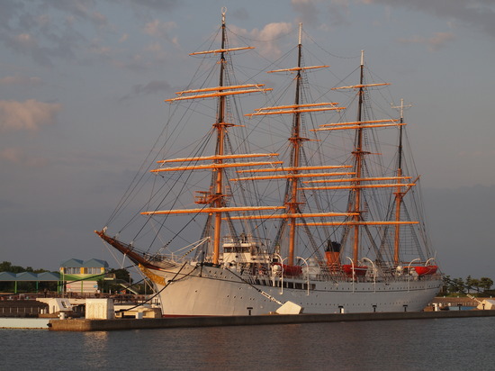E7175257_PRF