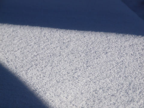 P2039562_PRF