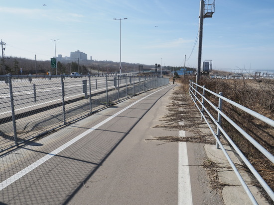 N3037967_PRF