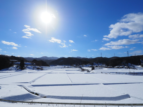 N1281615_PRF