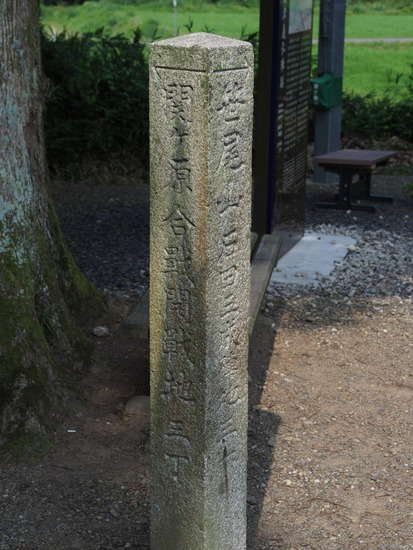 N7160117_PRF