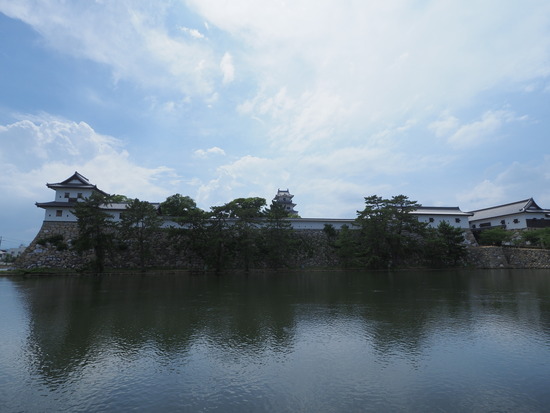 N8124571_PRF