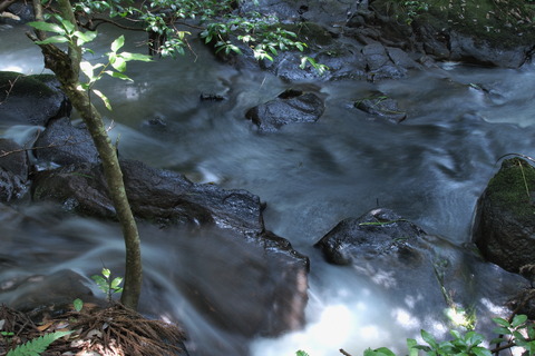 E7031933_PRF