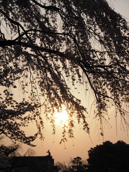 M3303222_PRF
