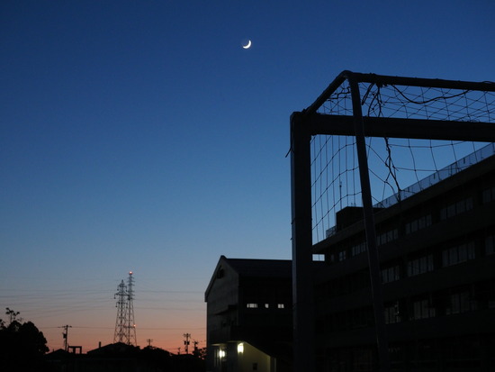 N5288036_PRF