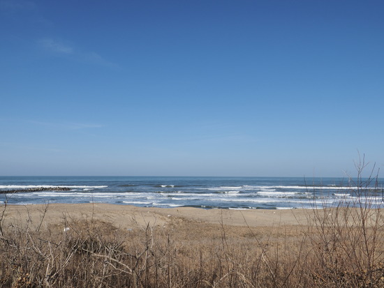 N3037966_PRF