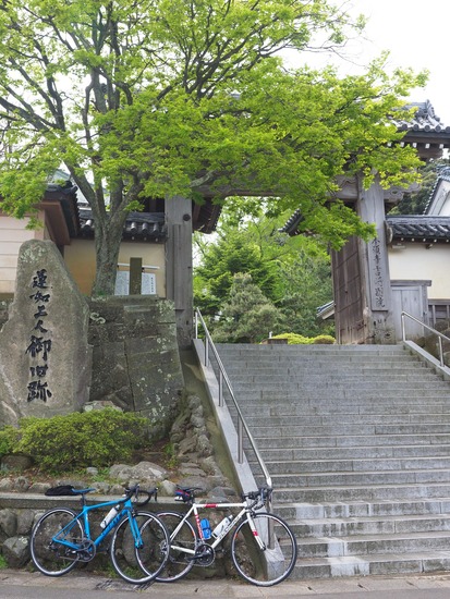 N5037013_PRF