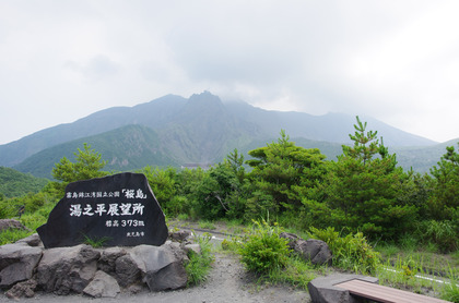 IMGP2021