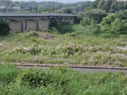 IMGP0159