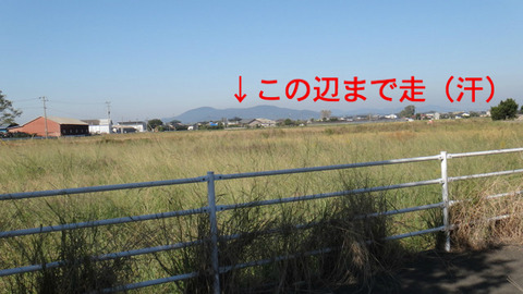 BlogPaint