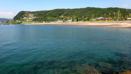 DSC05544