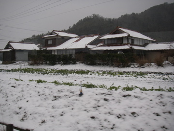 雪景色