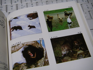 危険な生物2