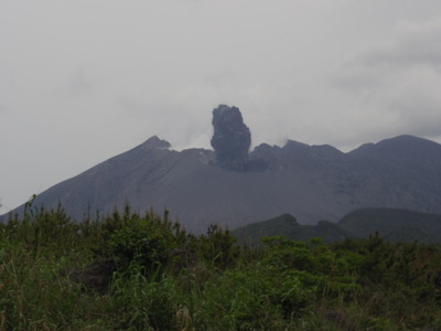 IMGP0050