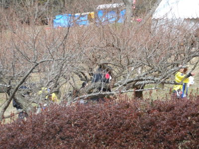 DSCN0761