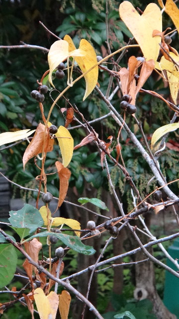 DSC02787