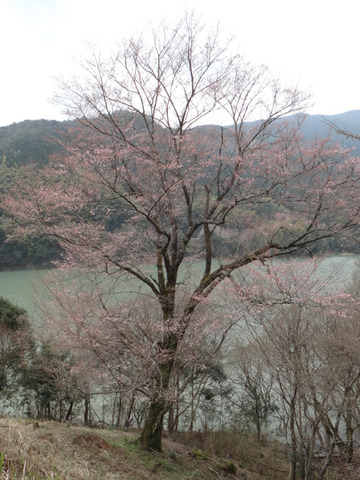 DSC04669