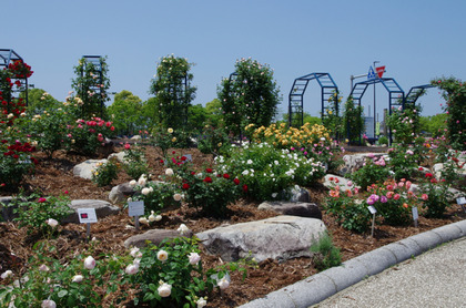 IMGP2002