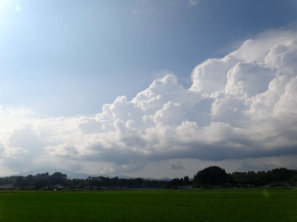 DSC06717