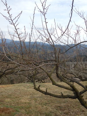 DSCN0780