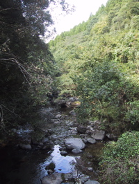 yama