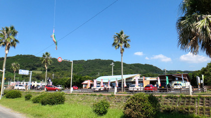 DSC05542