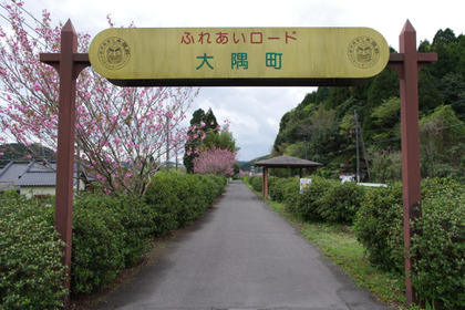 IMGP1032
