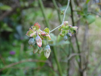 DSC03337
