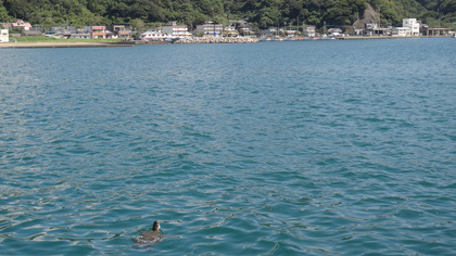 DSC05534
