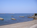 海2