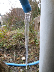 DSCN0565