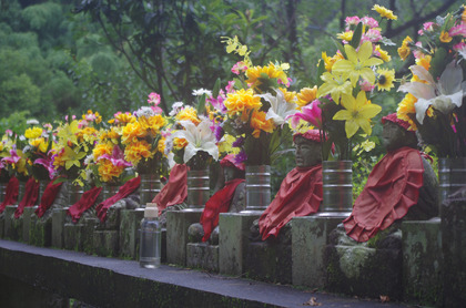 IMGP0054