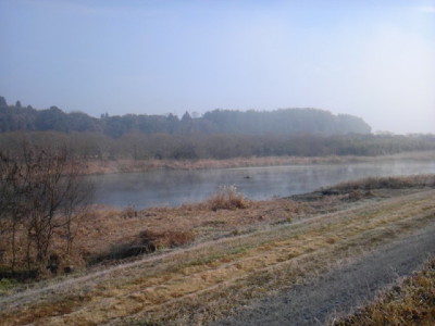 SH3F0031