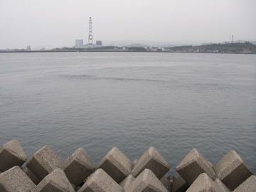 川内川河口