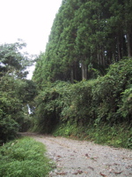 mori2
